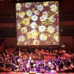 Julia Wolfe's Flower Power with RTE Concert Orchestra Dublin
